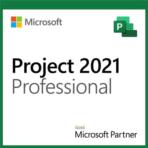 Project 2021 Professional